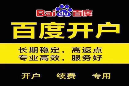 SEM广告投放策略案例分析